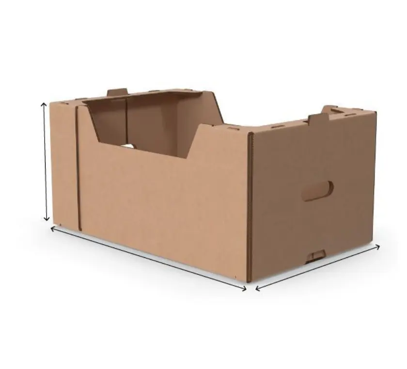 Deep open-top export carton with dimensions marked