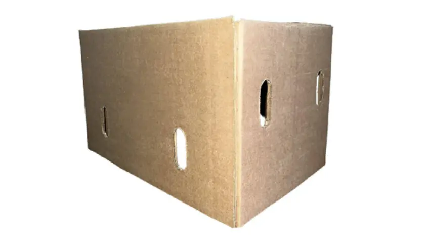 Telescopic export carton with hand-hole slots